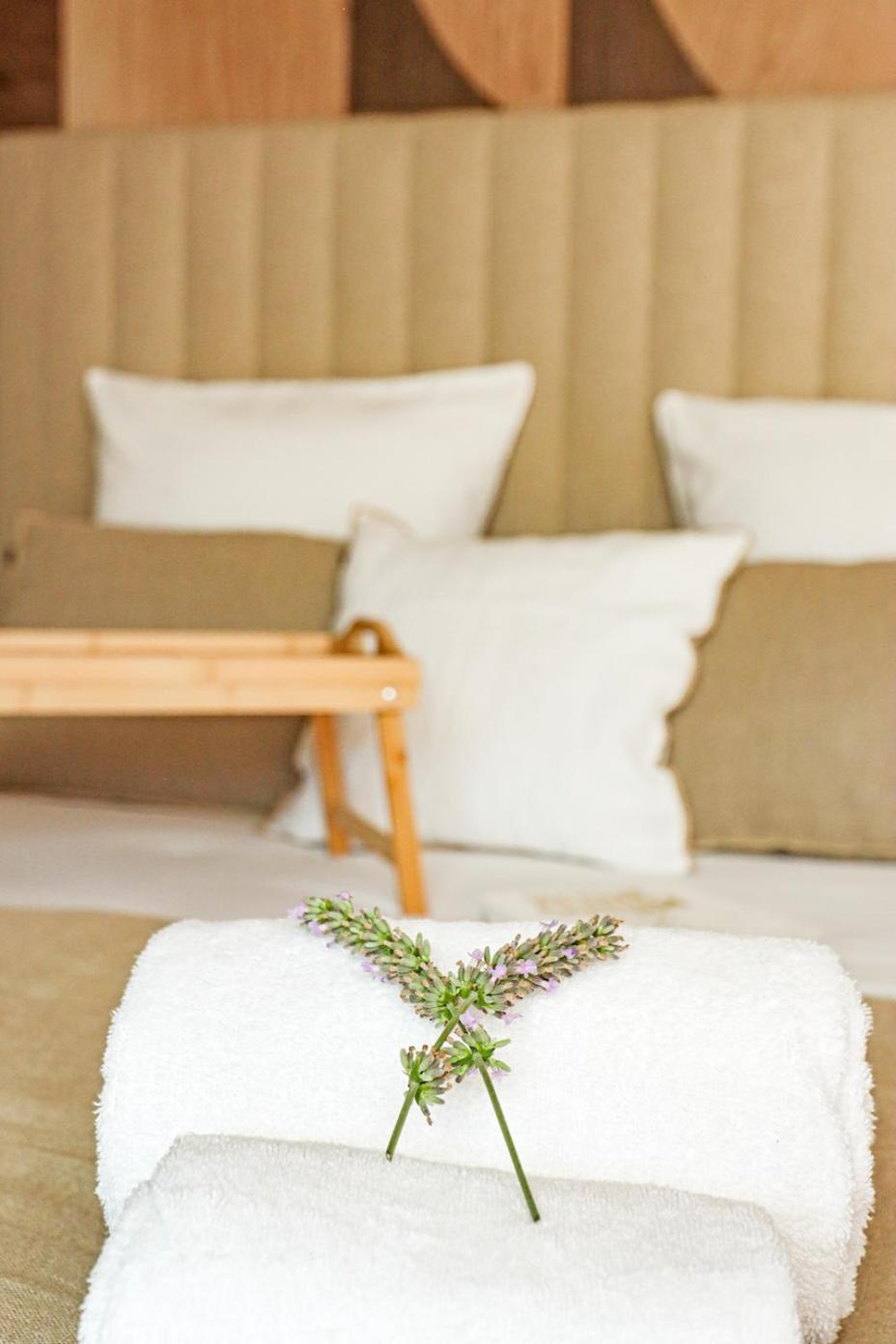 Les Gites De Laure - L'Eden Romantique, Chambres Hotes, Spa Prive, Couloir De Nage, Adults Only Malves-en-Minervois Экстерьер фото